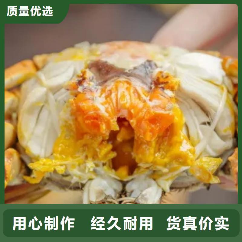 【 螃蟹 阳澄湖大闸蟹订购追求品质】-市场覆盖|南安|石狮|莆田|龙岩|漳州|厦门|三明|宁德-阿奇乐乐
