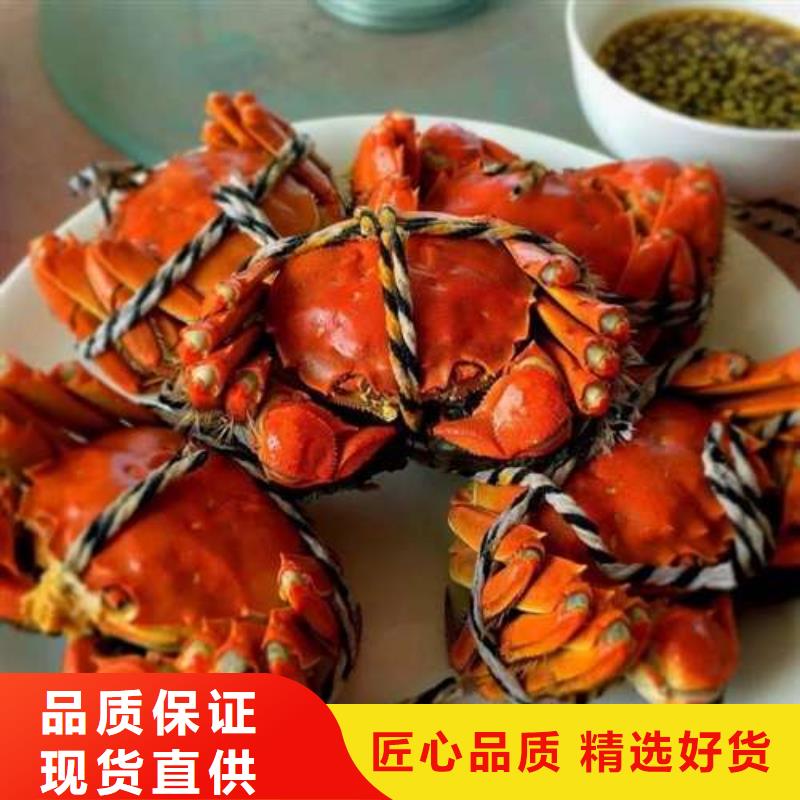 【螃蟹】 阳澄湖大闸蟹厂家新品-可发货到桑日|错那|昌都|拉萨|日喀则|林芝