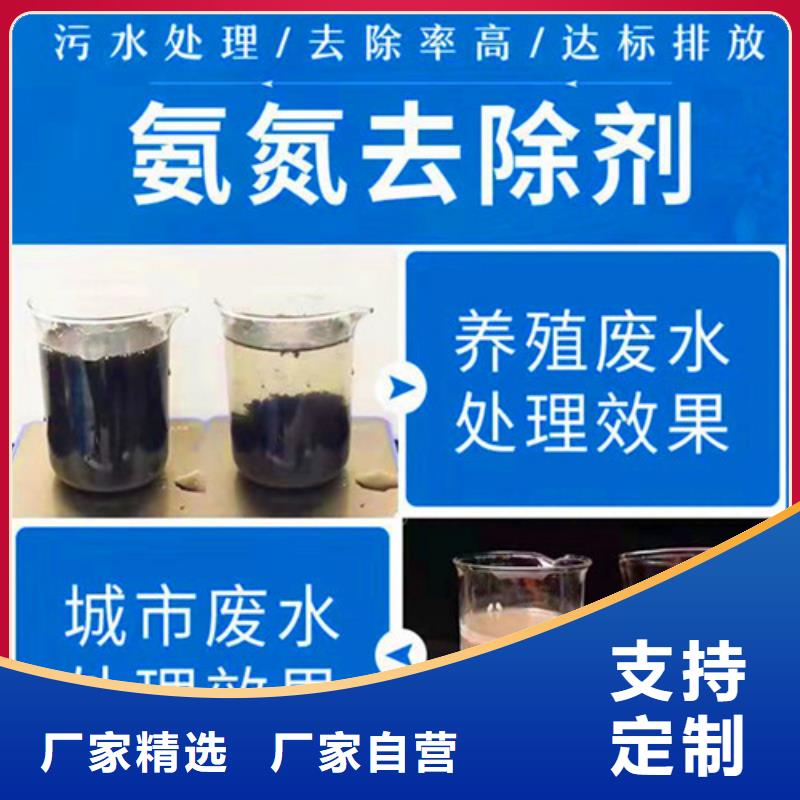 PAM视频-香港PAM-周边可服务区域