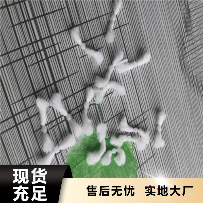 【水处理填料】,无水乙酸钠实力厂商