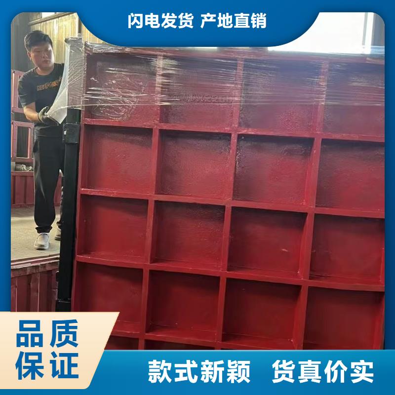 启闭机闸门-pz止水铸铁闸门自动化