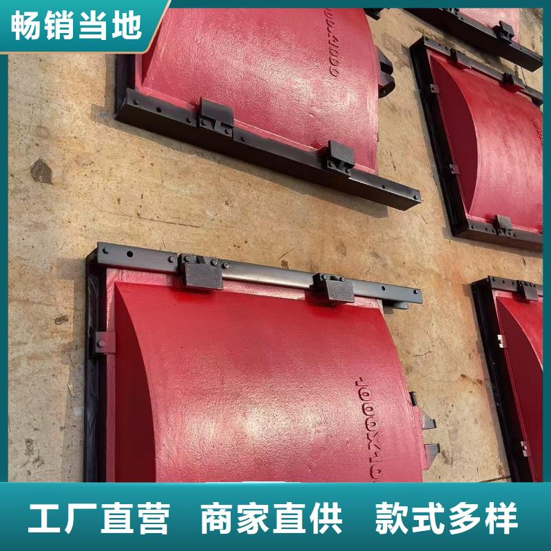 启闭机闸门-水电站启闭机闸门信誉良好