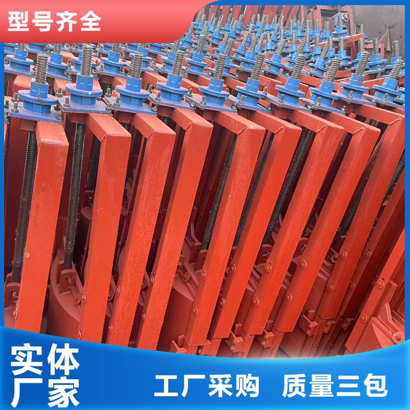 铸铁镶铜闸门-启闭机高压铸铁闸门智能