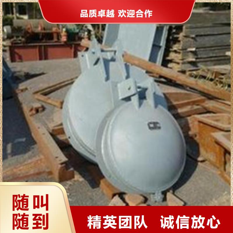 不锈钢闸门视频-不锈钢闸门|广西省玉林市|陆川|容县|贺州|柳州|钦州|百色|崇左