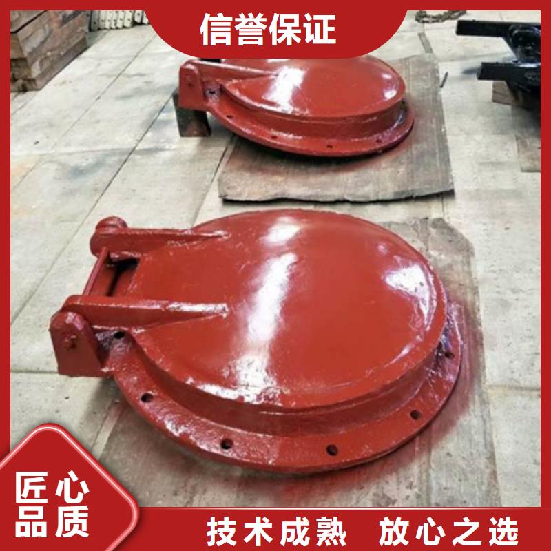 不锈钢闸门视频-不锈钢闸门|广西省玉林市|陆川|容县|贺州|柳州|钦州|百色|崇左