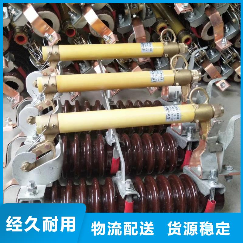 熔断器金属氧化物避雷器真材实料诚信经营