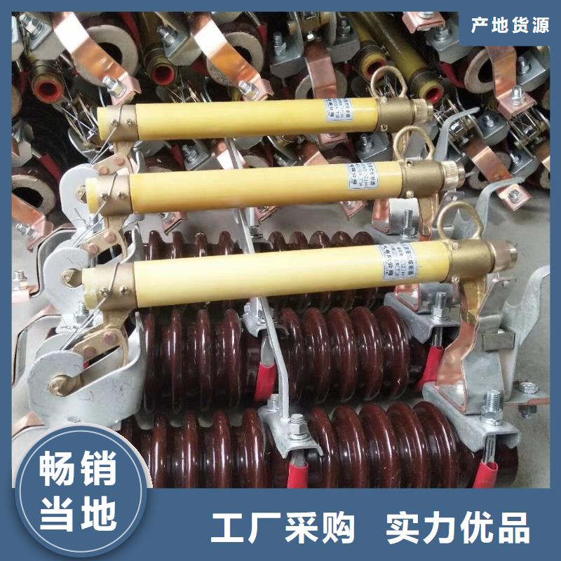 熔断器金属氧化物避雷器品质过硬羿振复合绝缘子