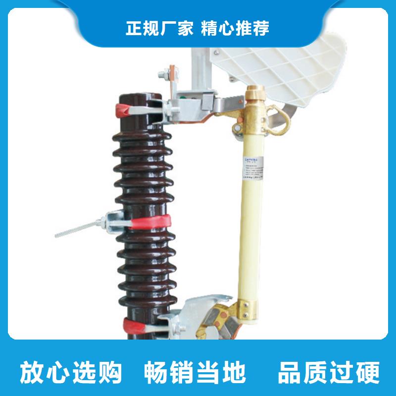 熔断器金属氧化物避雷器品质过硬羿振复合绝缘子