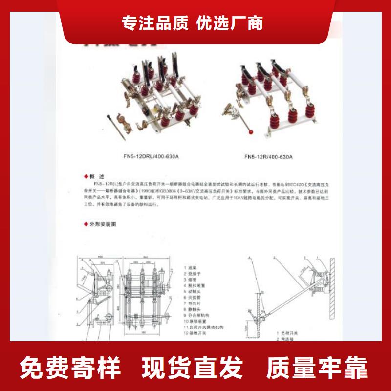 熔断器高压真空断路器厂家货源稳定