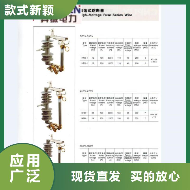 熔断器【绝缘子】货真价实