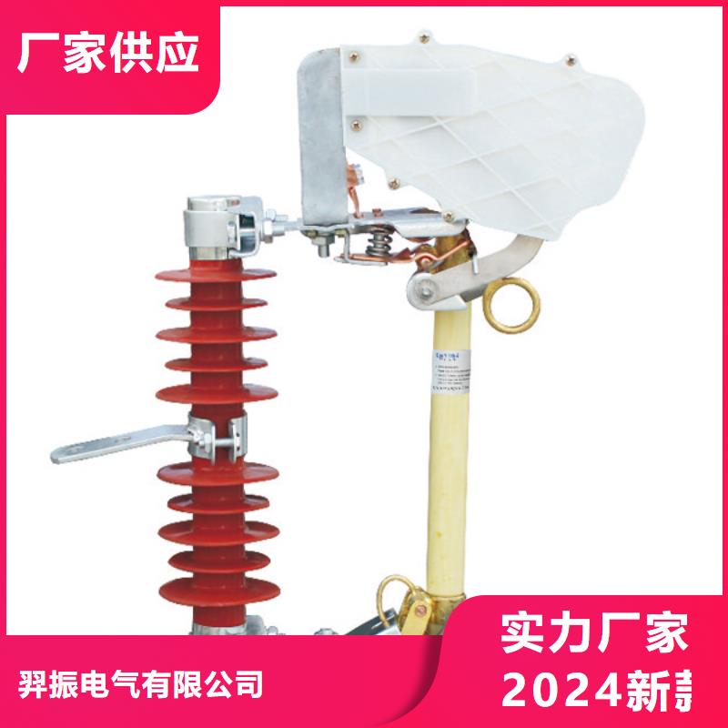 熔断器_【户外绝缘件】实拍展现