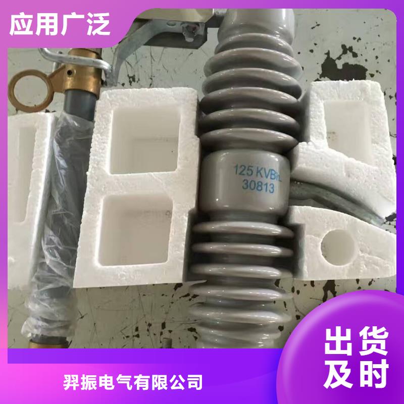 【熔断器金属氧化物避雷器批发货源】