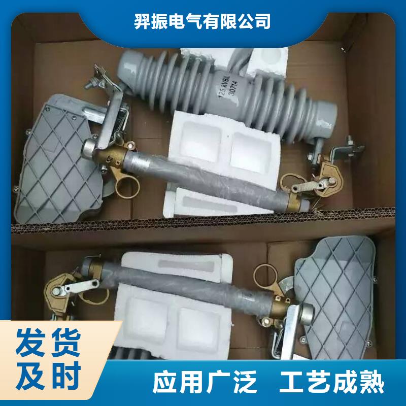 熔断器金属氧化物避雷器品质过硬羿振复合绝缘子