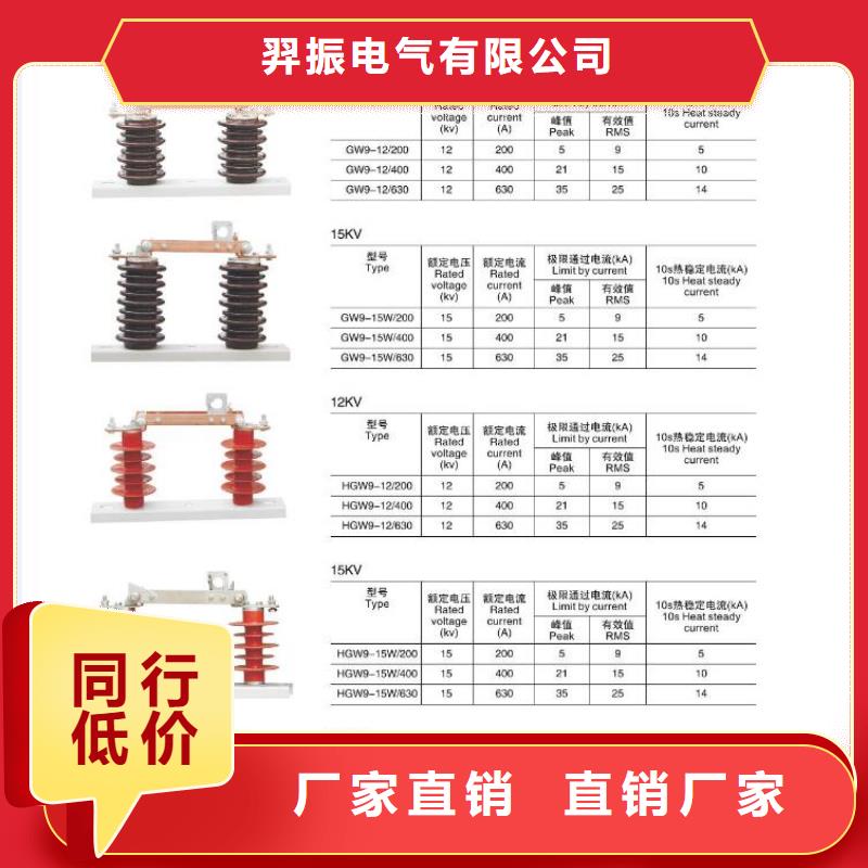 高压隔离开关真空断路器N年生产经验