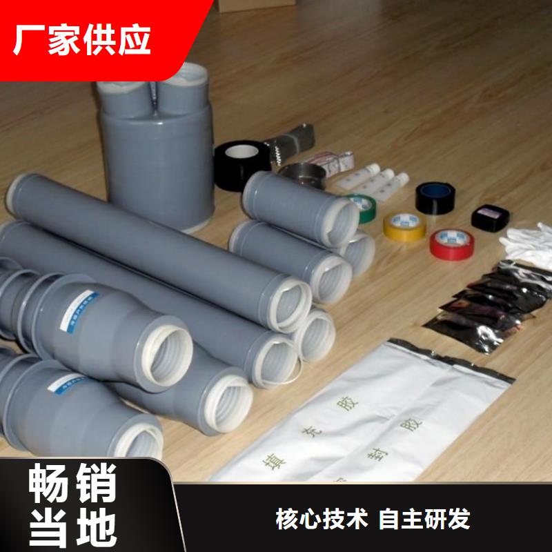 羿振【电缆附件 绝缘子卓越品质保障】-业务覆盖区域|会理|美姑|甘孜|攀枝花|绵阳|广元|南充|德阳|资阳-阿奇乐乐