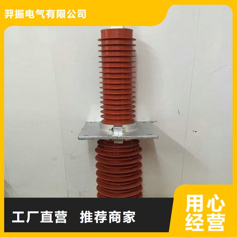复合绝缘子视频-复合绝缘子_直辖天津市市场覆盖武清|南开|河东|东丽|西青等