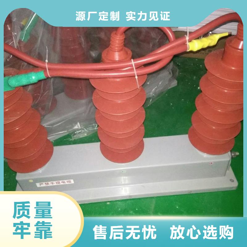 过电压保护器断路器厂家服务周到-羿振电气(普洱市分公司)-阿奇乐乐