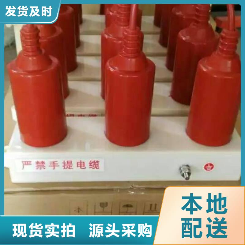 羿振过电压保护器三相组合式避雷器优选厂家-阿奇乐乐