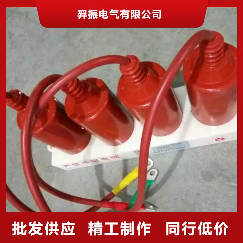 过电压保护器跌落式熔断器厂家货到付款-可发货到米脂|神木|西安|商洛|宝鸡|安康|咸阳|铜川