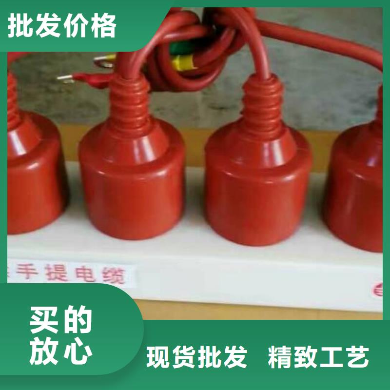 【 过电压保护器_真空断路器货真价实】同城生产厂家