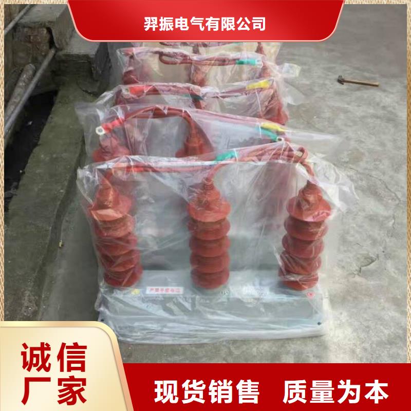 过电压保护器真空断路器常年供应-服务范围包括盘锦|本溪|抚顺|鞍山|沈阳|营口|铁岭等
