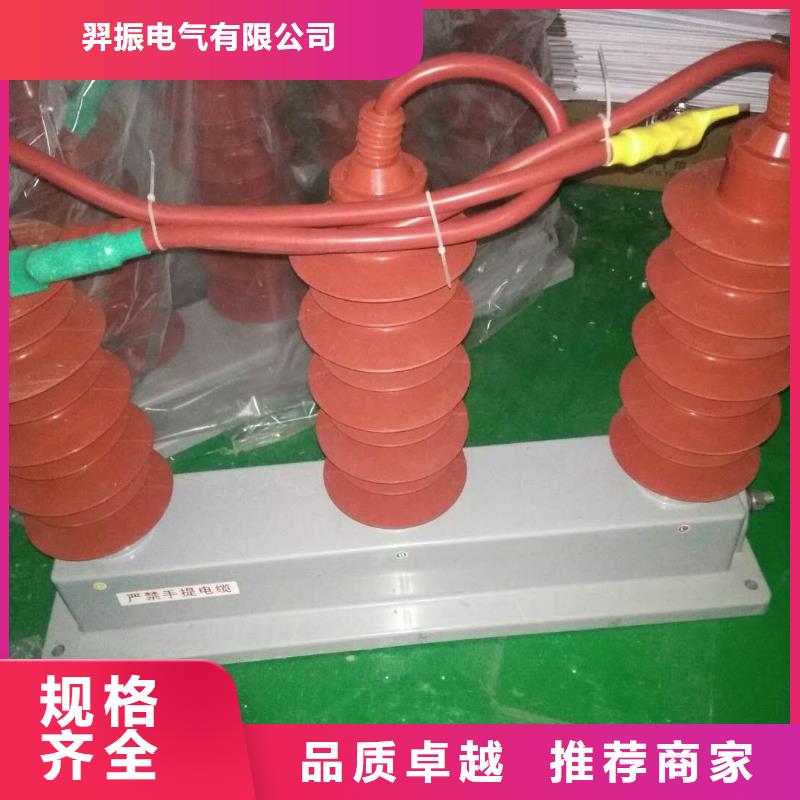 复合绝缘子视频-复合绝缘子|辽宁省|铁岭|大连|本溪|锦州|鞍山|丹东|葫芦岛