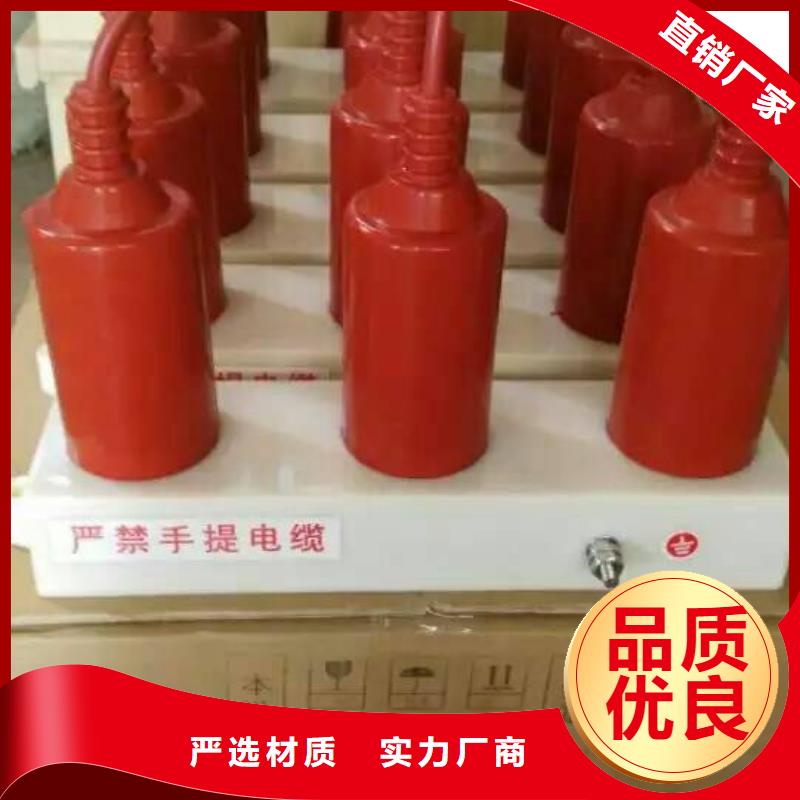 【 过电压保护器_真空断路器货真价实】同城生产厂家