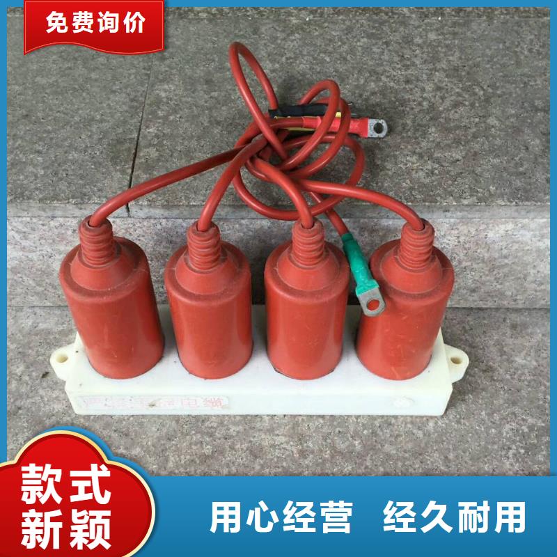 复合绝缘子视频-临澧|武陵|株洲|娄底|郴州|益阳复合绝缘子主推产品-羿振电气(常德市分公司)