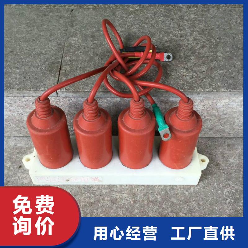 复合绝缘子视频-临澧|武陵|株洲|娄底|郴州|益阳复合绝缘子主推产品-羿振电气(常德市分公司)
