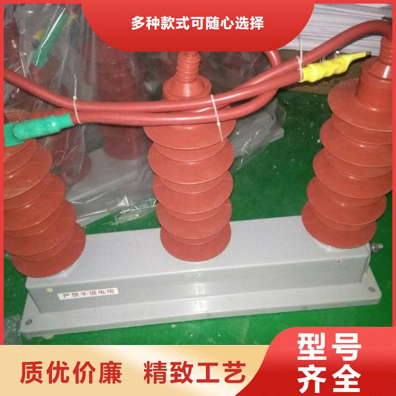 【 过电压保护器_真空断路器货真价实】同城生产厂家