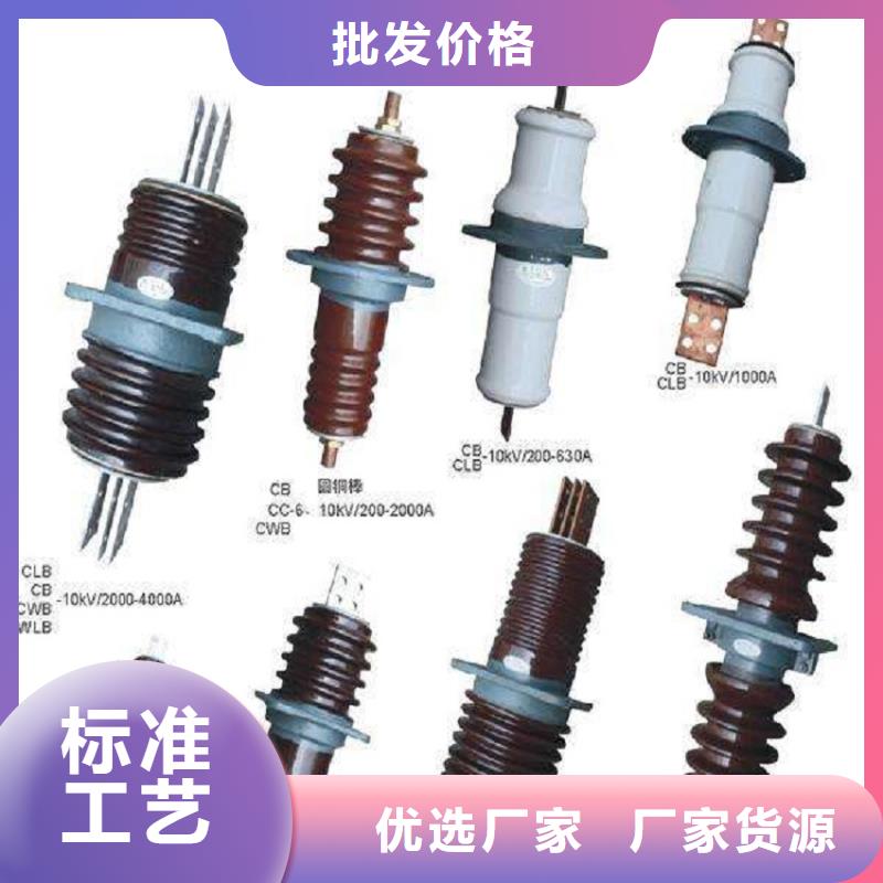 复合绝缘子羿振穿墙套管真空断路器品类齐全