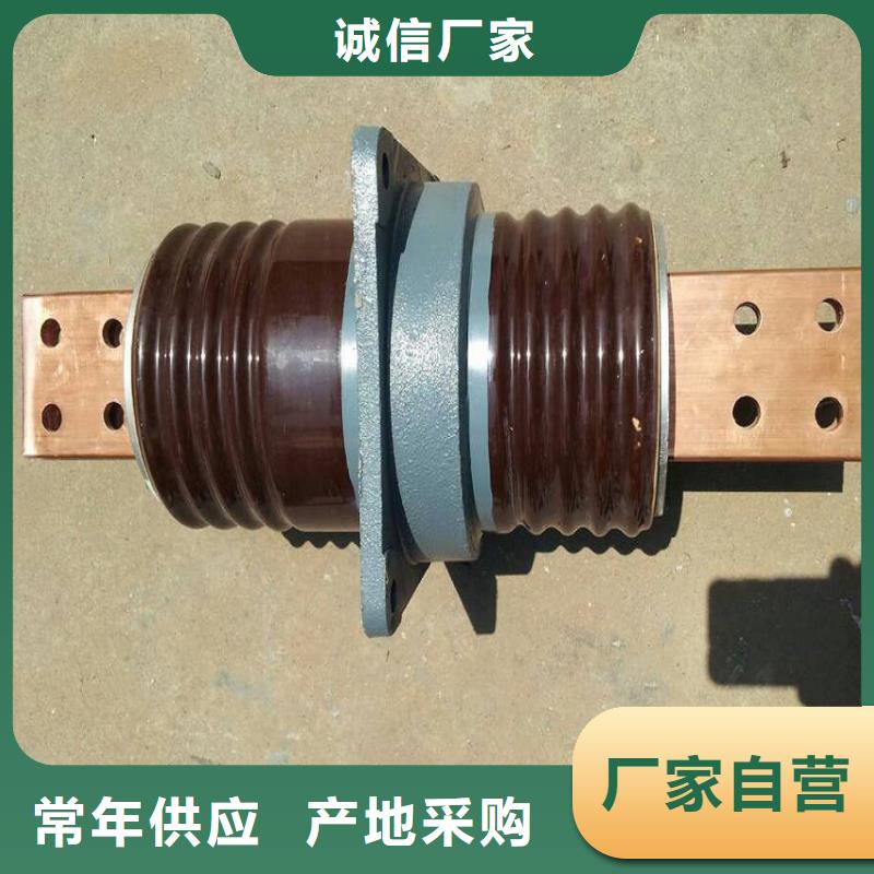 穿墙套管真空断路器好品质售后无忧-羿振电气(宝鸡市分公司)