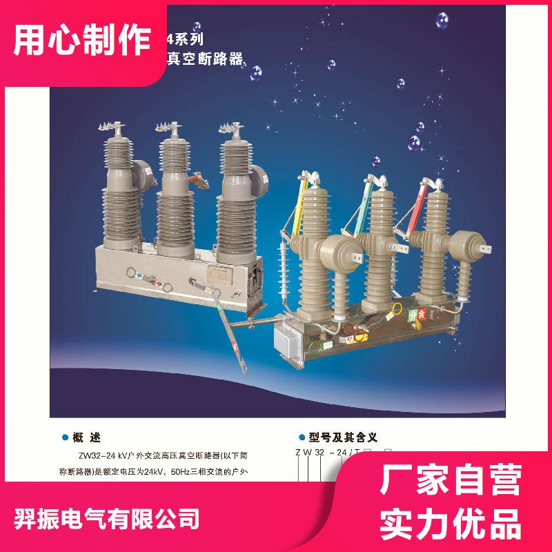 ZW32真空断路器电力金具对质量负责羿振复合绝缘子