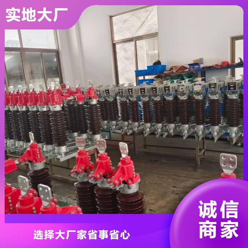 复合绝缘子视频-广宁|封开|韶关|湛江|揭阳|东莞|梅州|中山|汕尾复合绝缘子厂家案例-羿振电气(肇庆市分公司)