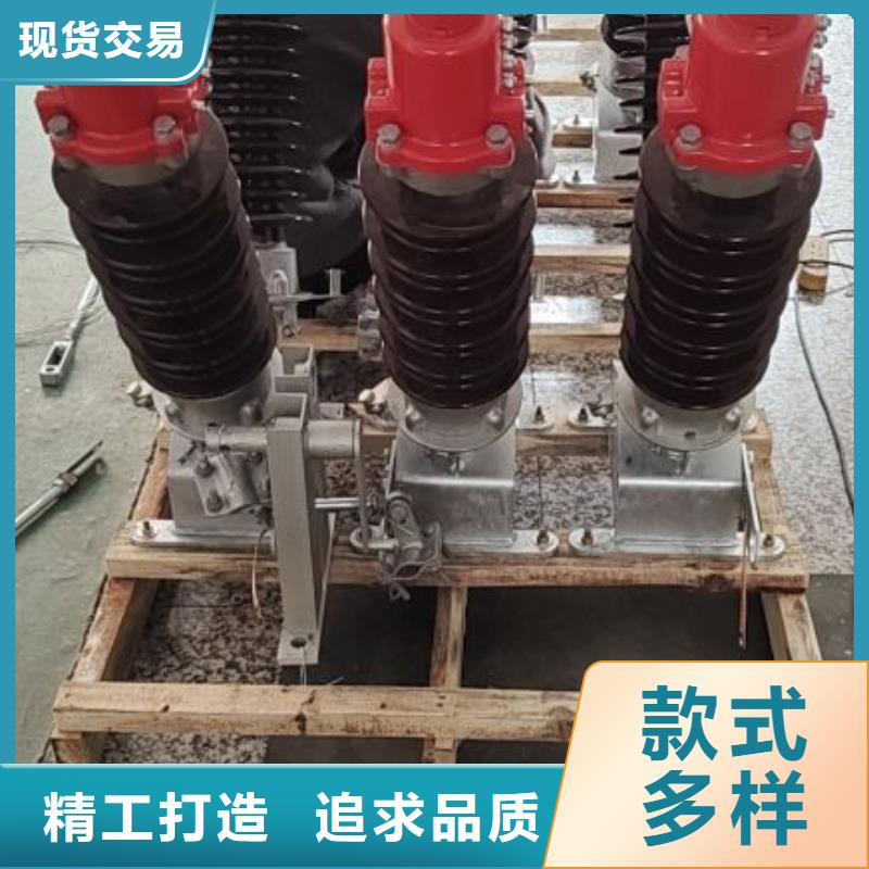 复合绝缘子视频-广宁|封开|韶关|湛江|揭阳|东莞|梅州|中山|汕尾复合绝缘子厂家案例-羿振电气(肇庆市分公司)