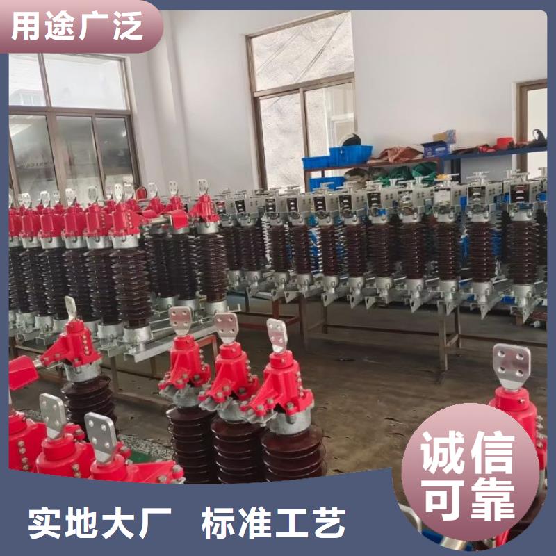 复合绝缘子视频-广宁|封开|韶关|湛江|揭阳|东莞|梅州|中山|汕尾复合绝缘子厂家案例-羿振电气(肇庆市分公司)