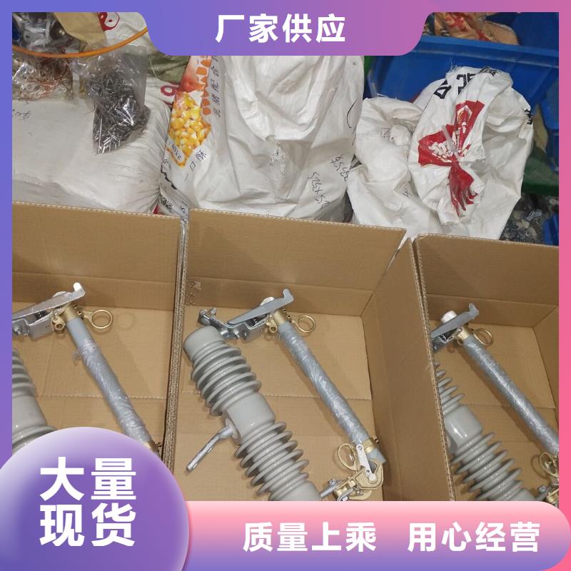 熔断器高压支柱绝缘子自营品质有保障