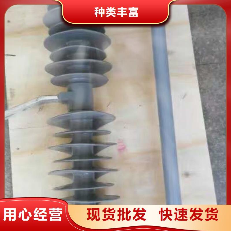 熔断器绝缘子支持加工定制