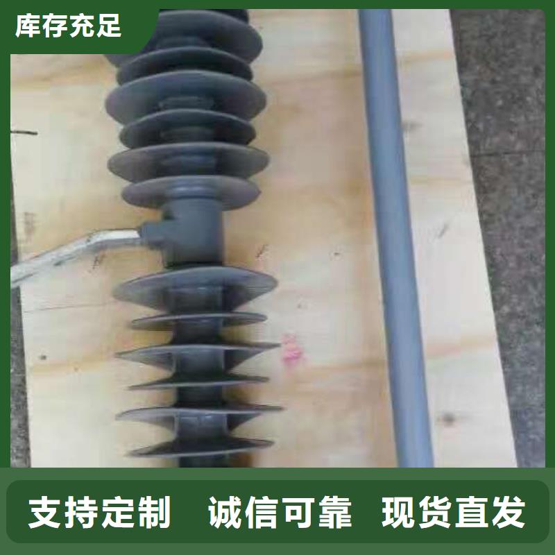 熔断器-避雷器产品实拍