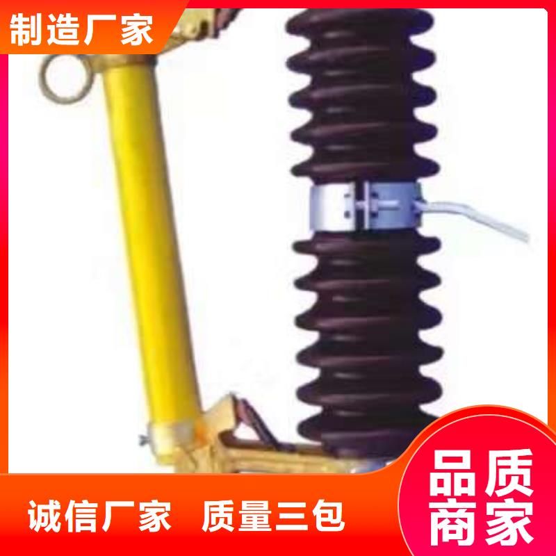 熔断器_隔离开关厂家批发供应