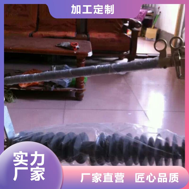 熔断器-避雷器产品实拍