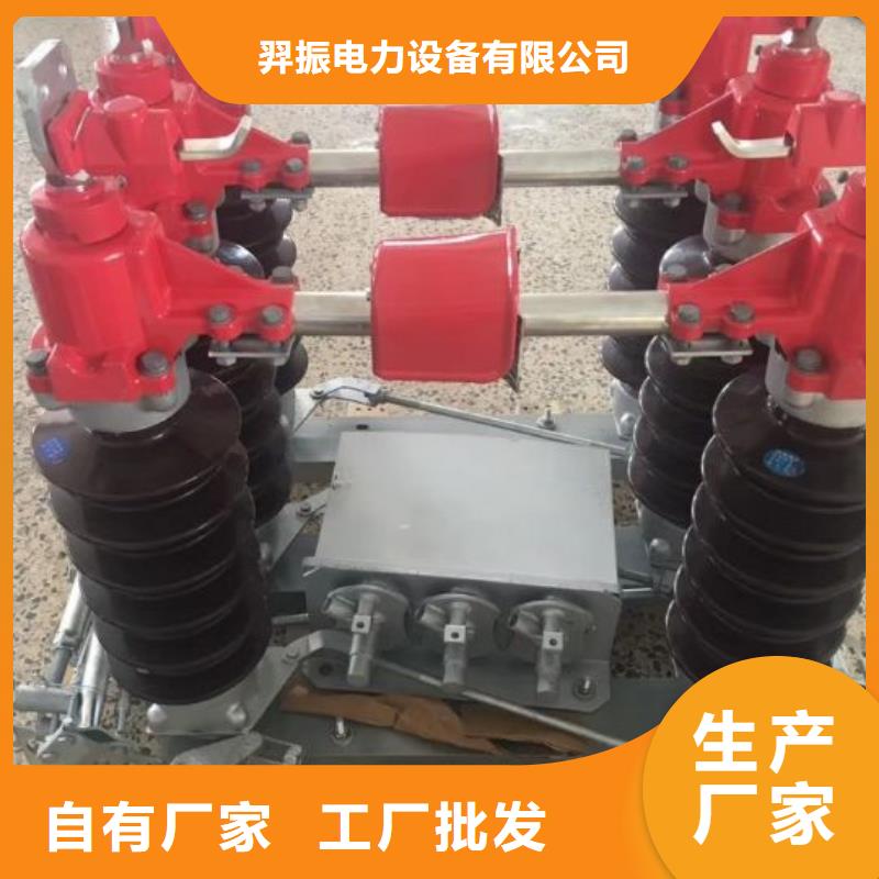 隔离开关-【真空断路器】产地源头好货_羿振电力设备(杭州市分公司)