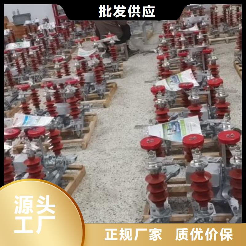 复合绝缘子视频-复合绝缘子-海南省海口市此地服务商-龙华|秀英|三亚