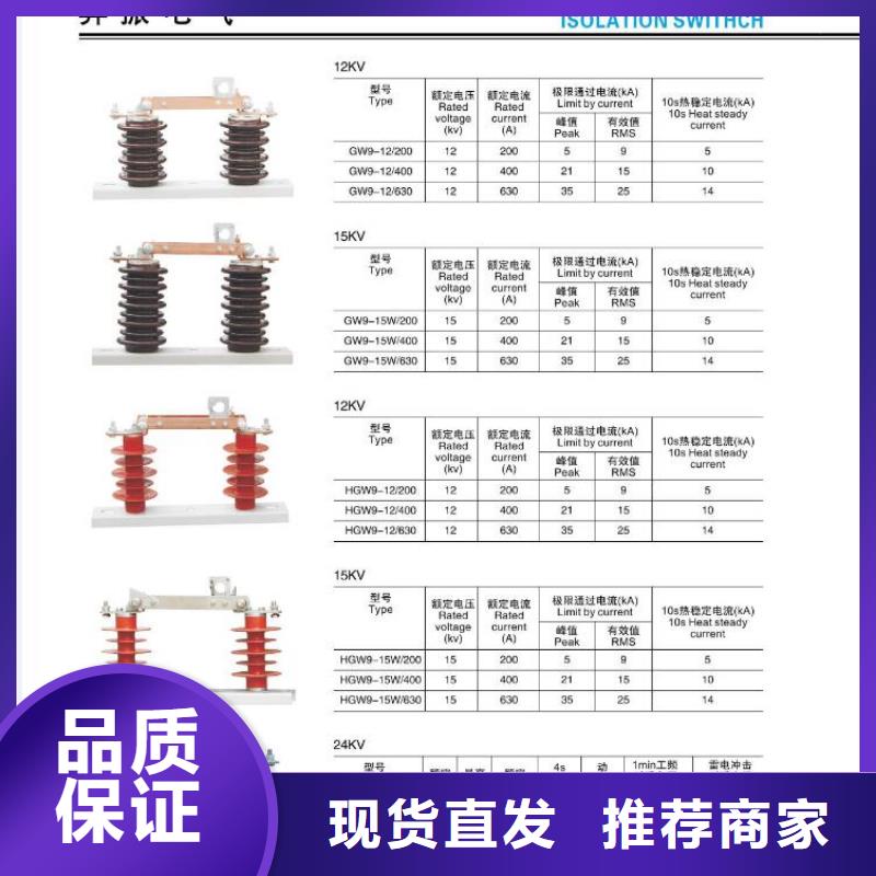 复合绝缘子视频-复合绝缘子-海南省海口市此地服务商-龙华|秀英|三亚