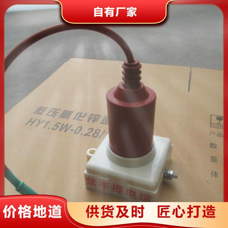 复合绝缘子羿振过电压保护器跌落式熔断器现货批发