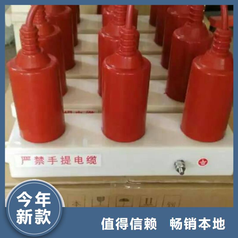 过电压保护器,【真空断路器】专业生产团队