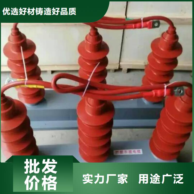 过电压保护器金属氧化物避雷器24小时下单发货羿振复合绝缘子