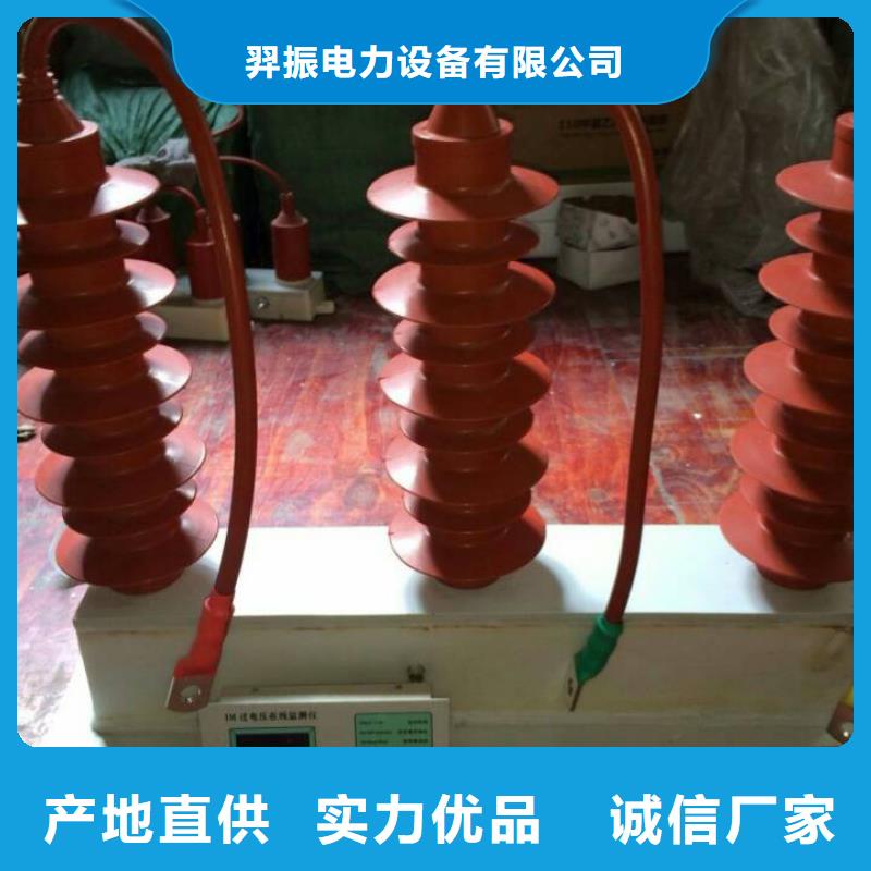 过电压保护器金属氧化物避雷器细节展示