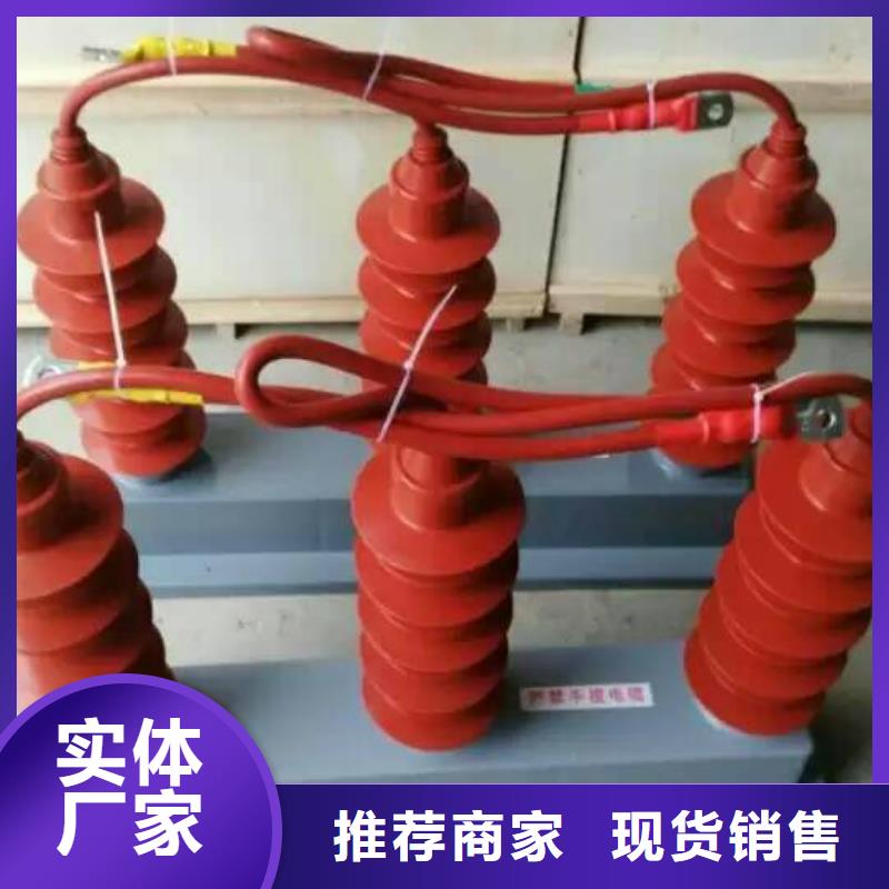 过电压保护器金属氧化物避雷器细节展示