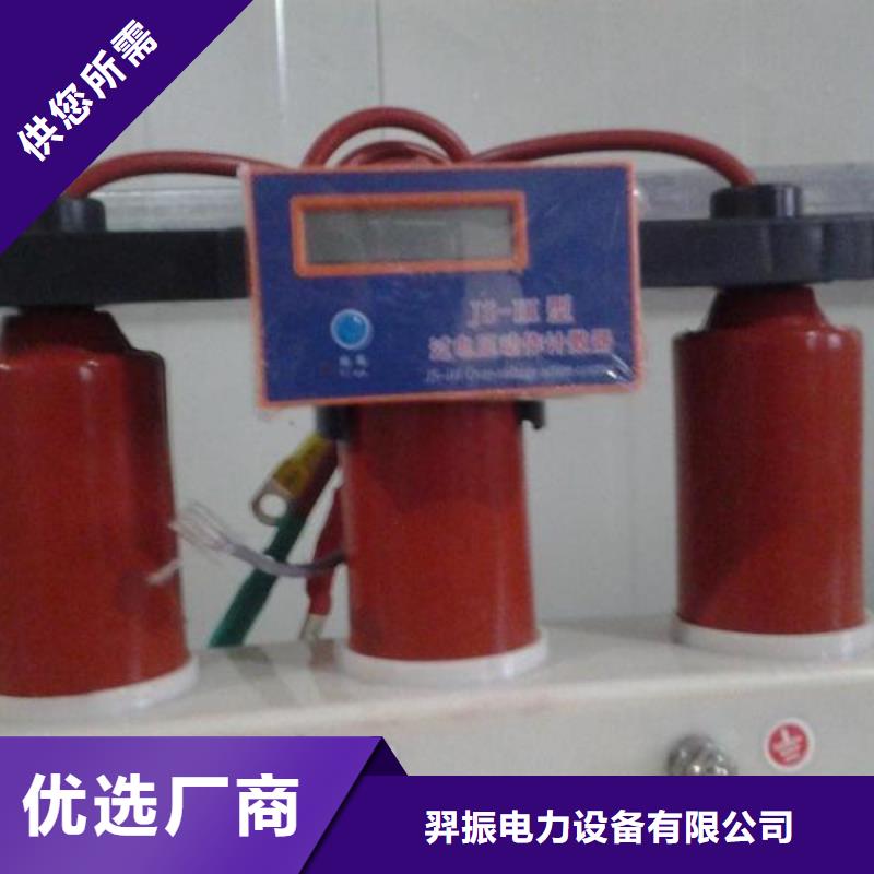 过电压保护器金属氧化物避雷器24小时下单发货羿振复合绝缘子